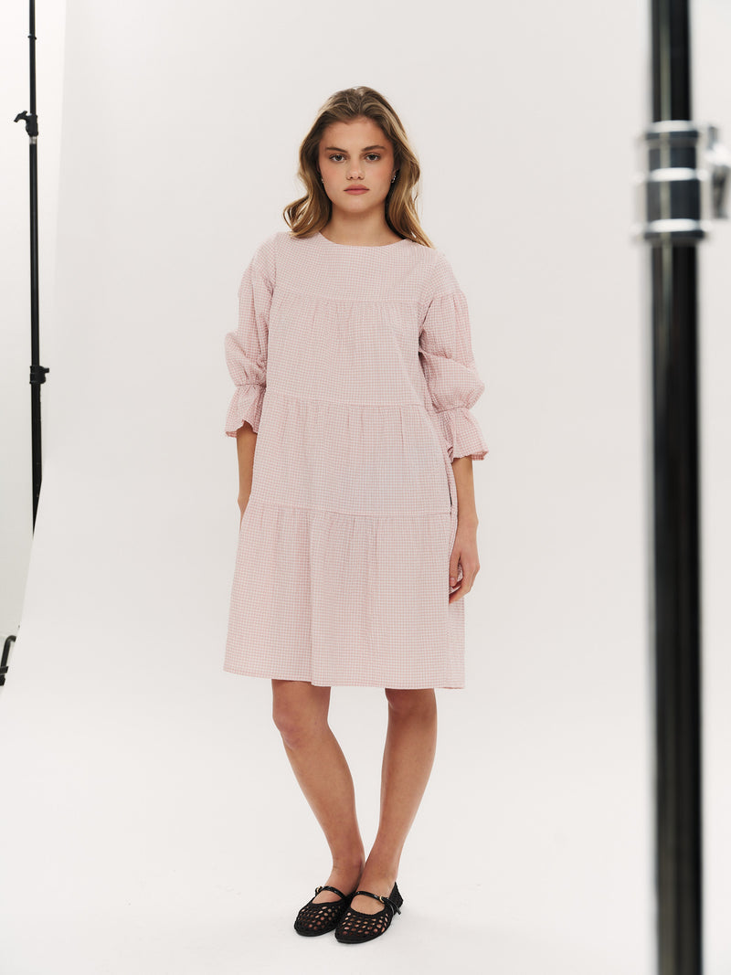 Indiana Dress - Washed Pink Checked
